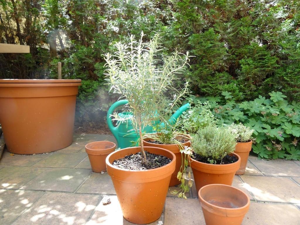 Garden Apartment On Art Nouveau Street In Central Prague Ngoại thất bức ảnh