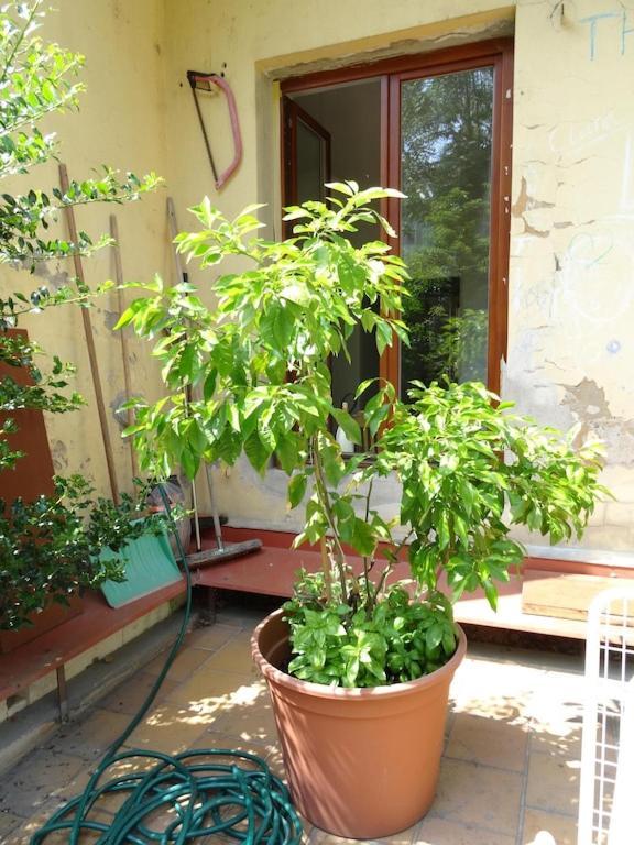 Garden Apartment On Art Nouveau Street In Central Prague Ngoại thất bức ảnh